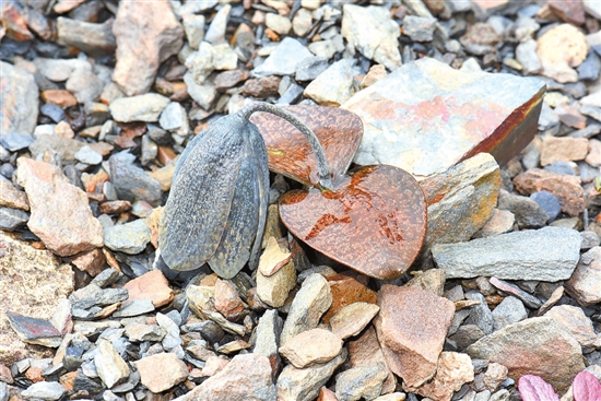 2021071607_res03_attpic_brief