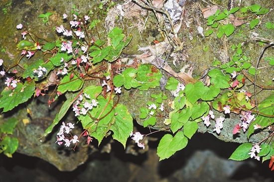 2021071607_res07_attpic_brief