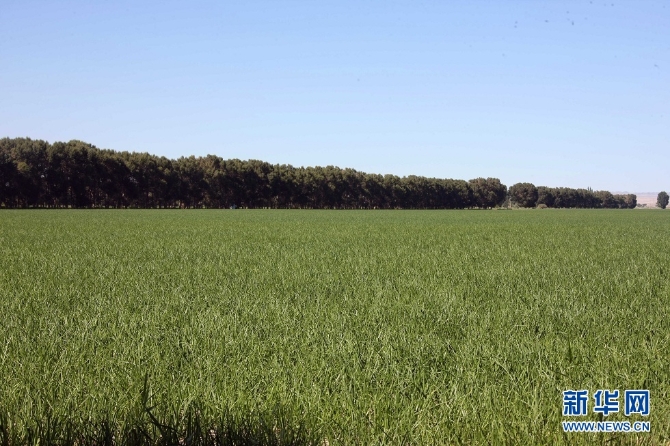 1127667682_16266084360061n 1127667682_16266084360061n