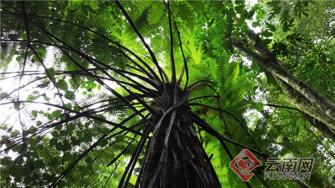 00304062056_a03cf1b5 00304062056_a03cf1b5