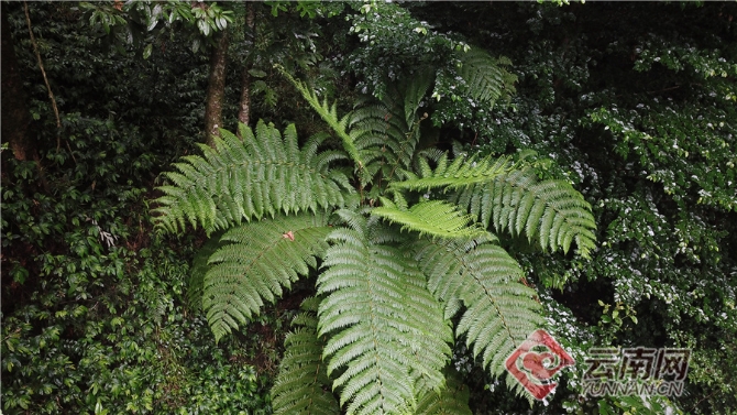 00304062057_0ef4818c 00304062057_0ef4818c