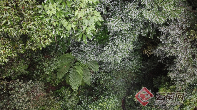 00304062058_304d8883 00304062058_304d8883