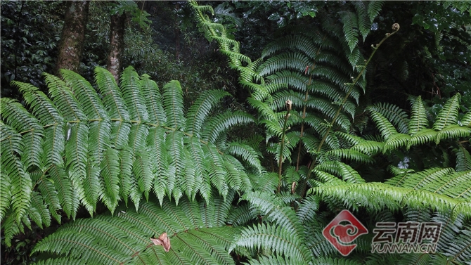 00304062059_75e29a78 00304062059_75e29a78