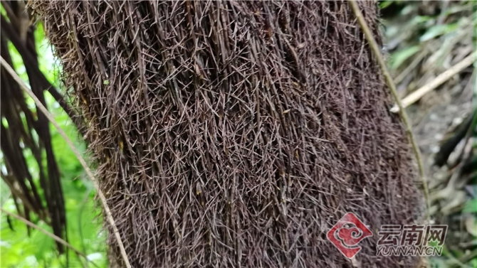 00304062060_f9104acb 00304062060_f9104acb