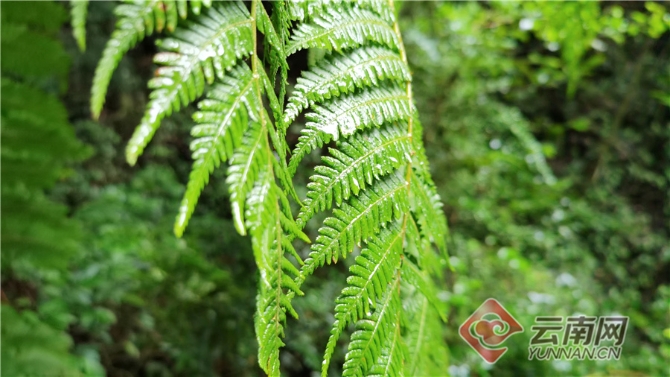 00304062061_b6fc3058 00304062061_b6fc3058