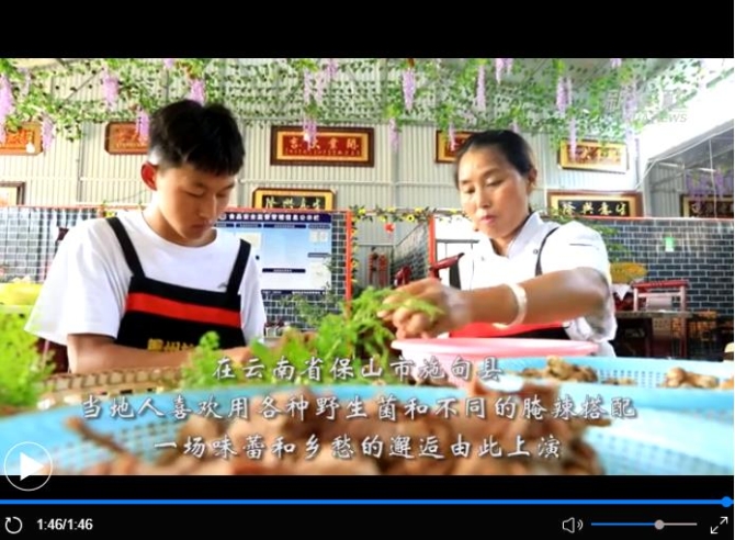 點擊觀看視頻 點擊觀看視頻