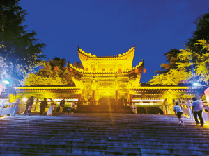 30501626801359838 30501626801359838