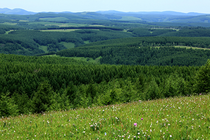 202107215422deaa09b74d979bd0dd770b7752f6_CiSfBAxh5liUNdrx 202107215422deaa09b74d979bd0dd770b7752f6_CiSfBAxh5liUNdrx