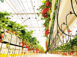 88771626889341538 88771626889341538