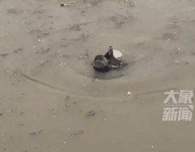 圖源網(wǎng)絡(luò)