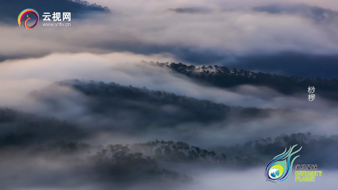 微信截圖_20210723154840 微信截圖_20210723154840