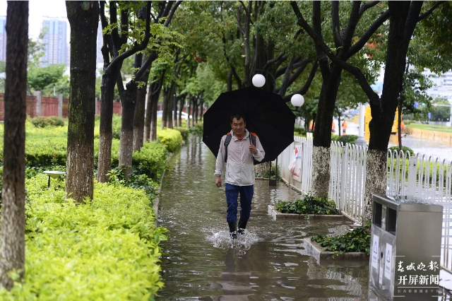 強(qiáng)降雨后昆明海源中路斷交，水深處達(dá)30mm 春城晚報(bào)-開屏新聞?dòng)浾?孫琴霞 文 龍宇丹 攝