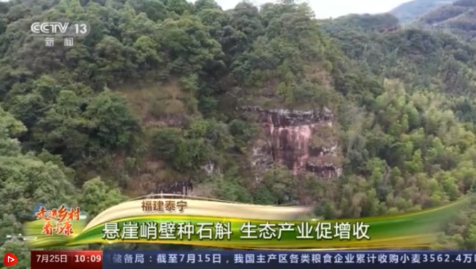 微信截圖_20210725212816