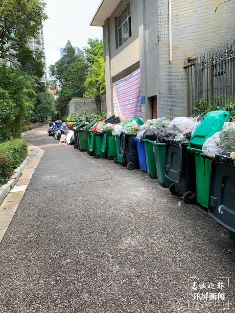 市民投訴昆明金色俊園小區(qū)垃圾4天無(wú)人清運(yùn)(春城晚報(bào)-開(kāi)屏新聞?dòng)浾?孫琴霞 實(shí)習(xí)生 黃千儀 攝)