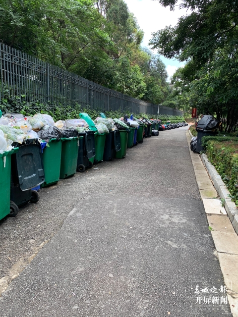 市民投訴昆明金色俊園小區(qū)垃圾4天無(wú)人清運(yùn)(春城晚報(bào)-開(kāi)屏新聞?dòng)浾?孫琴霞 實(shí)習(xí)生 黃千儀 攝)
