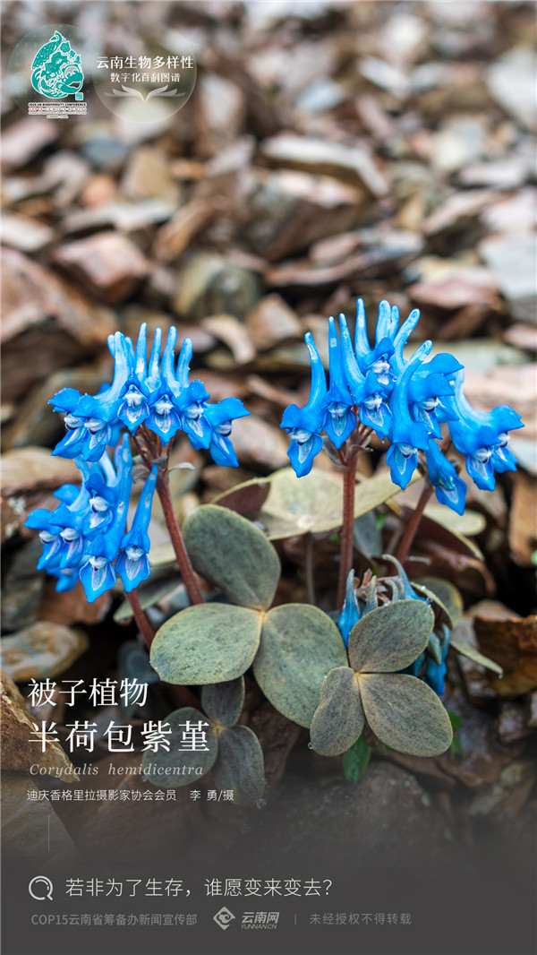 00304087095_92e4c5a3 00304087095_92e4c5a3