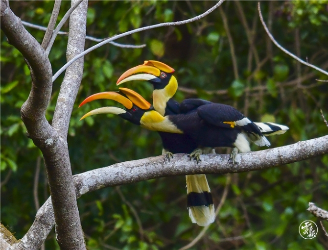 GetAttachment (5).jpg