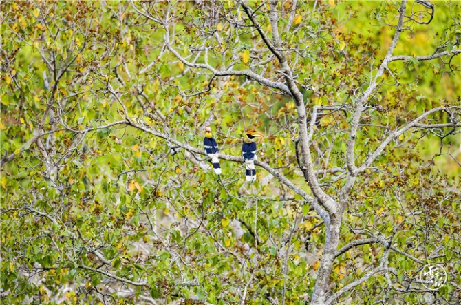 GetAttachment (6).jpg