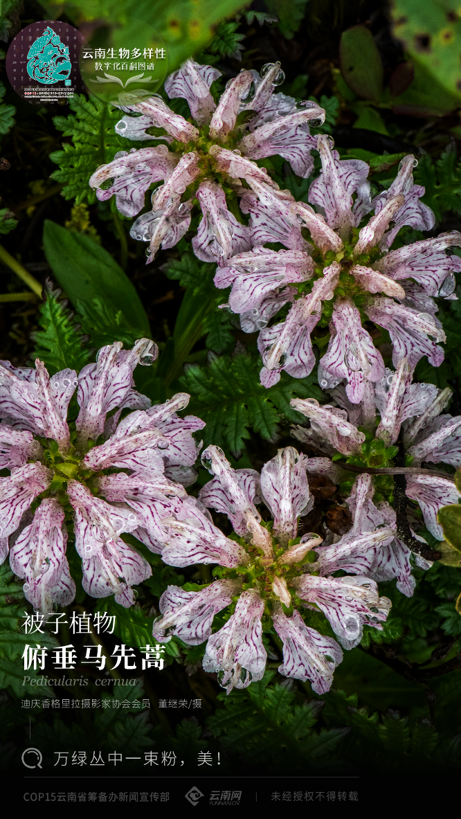 00304089167_e42d931a 00304089167_e42d931a