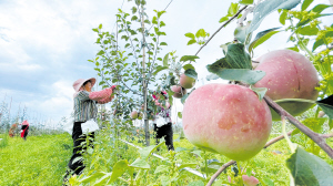 64561627748397663 64561627748397663