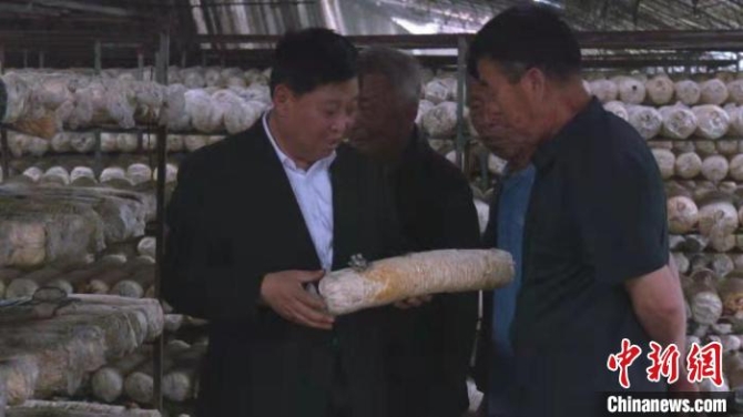 山西省交口縣棗林村黨支部書(shū)記張拉生，鉆研“液體菌種”技術(shù)時(shí)，經(jīng)歷100多次失敗，終獲成功。　李海鳳 攝