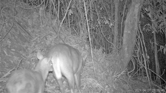 20210802A10_res07_attpic_brief 20210802A10_res07_attpic_brief