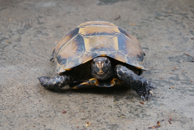 微信圖片_20210802181147.jpg?x-oss-process=style/w10