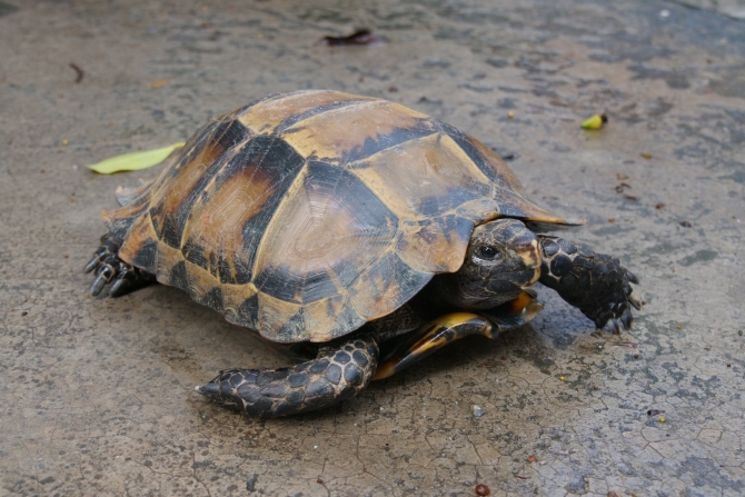 微信圖片_20210802181139.jpg?x-oss-process=style/w10