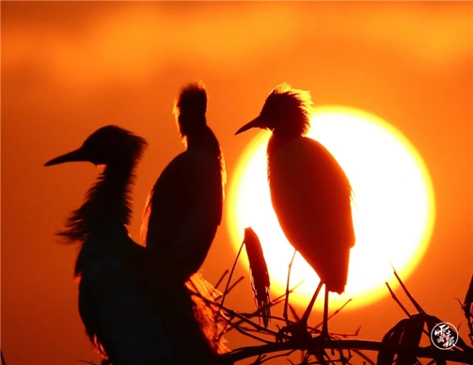 GetAttachment (14).jpg