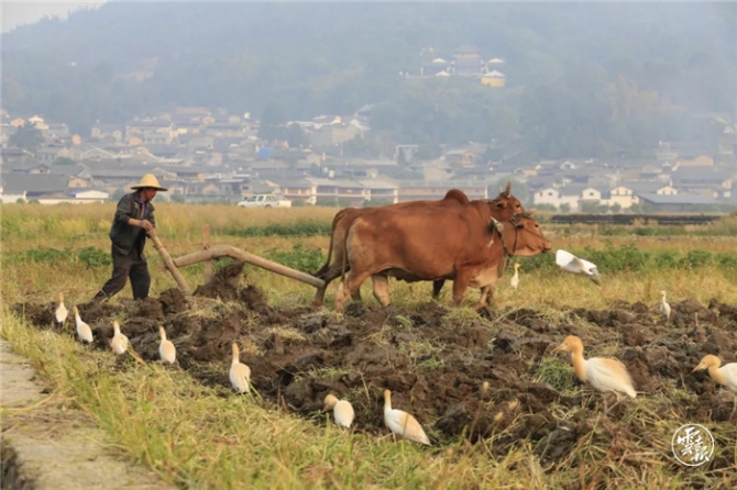 GetAttachment (13).jpg