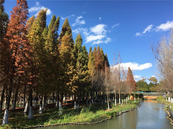 微信圖片_20210803192932