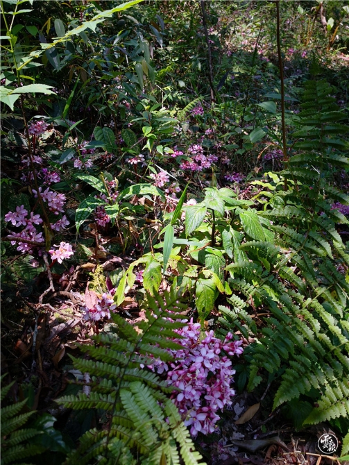 GetAttachment.jpg GetAttachment.jpg