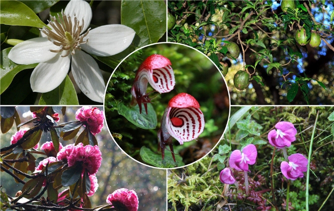 微信圖片_20210331101316.jpg 微信圖片_20210331101316.jpg