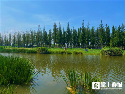 微信圖片_20210805190343 微信圖片_20210805190343