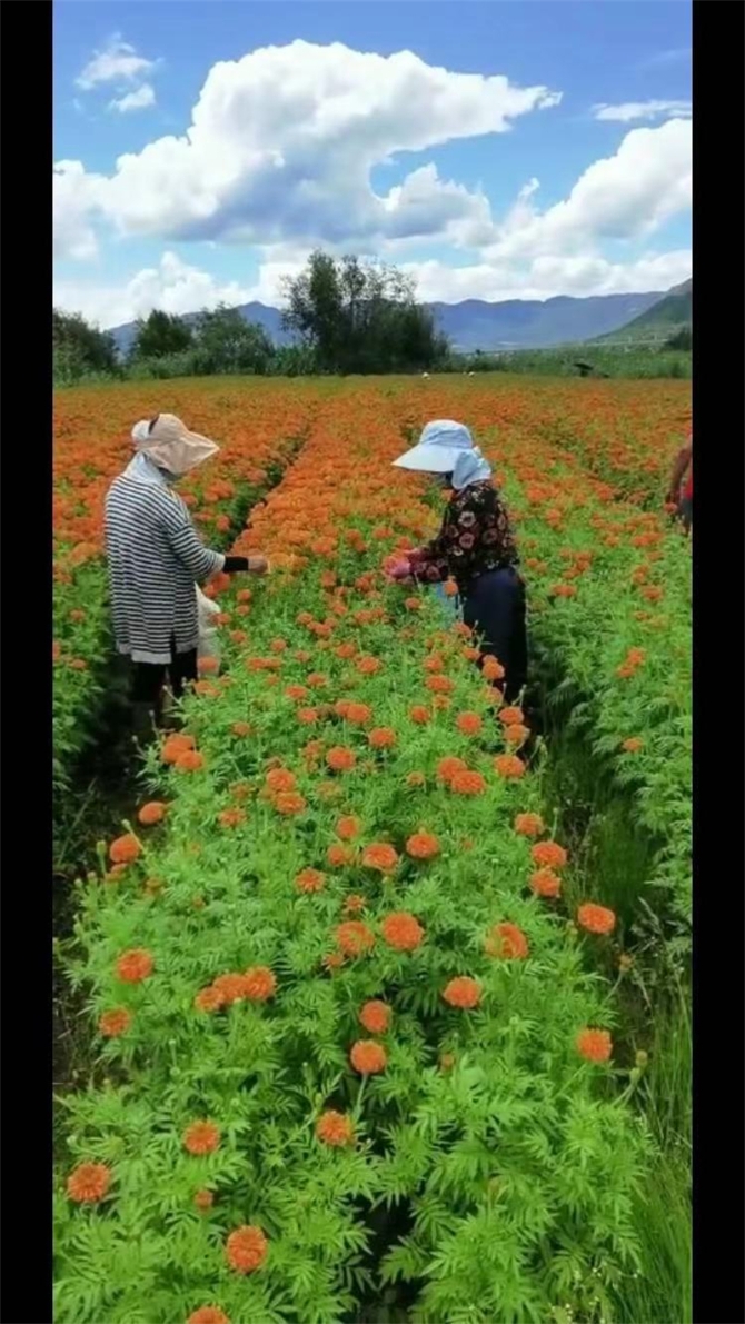 微信圖片_20210805180306 微信圖片_20210805180306