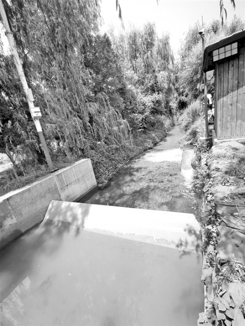 20210806A04_res03_attpic_brief 20210806A04_res03_attpic_brief