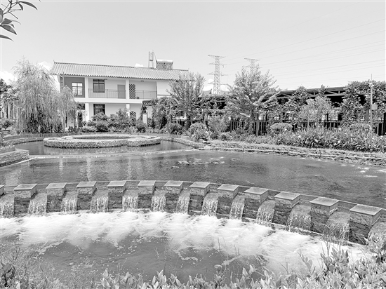 20210806A04_res07_attpic_brief 20210806A04_res07_attpic_brief