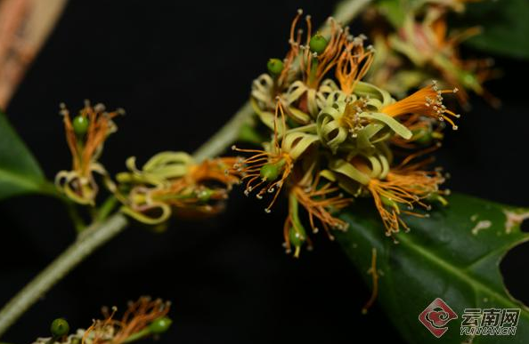 微信截圖_20210809074314.png 微信截圖_20210809074314.png