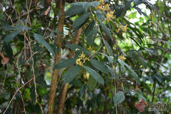 微信截圖_20210809074321.png 微信截圖_20210809074321.png