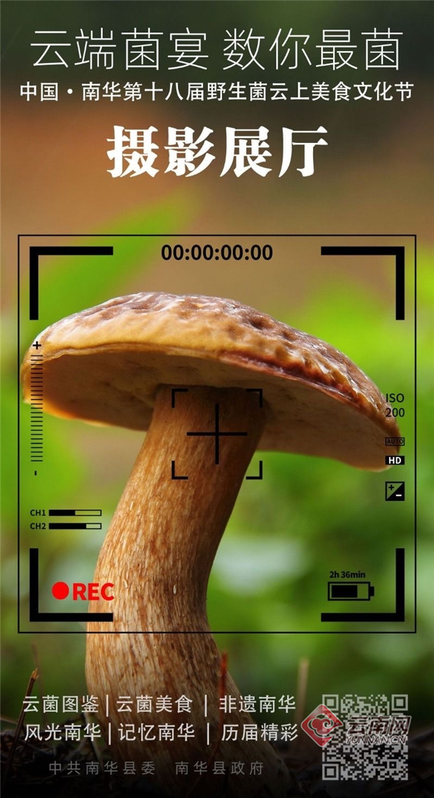 00304106433_ee839918 00304106433_ee839918