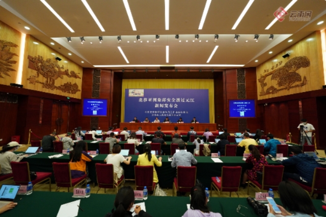 大象發(fā)布會(huì)