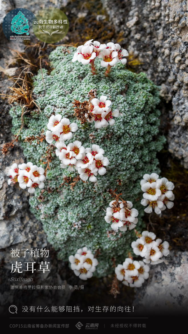 00304107990_290e24b1 00304107990_290e24b1