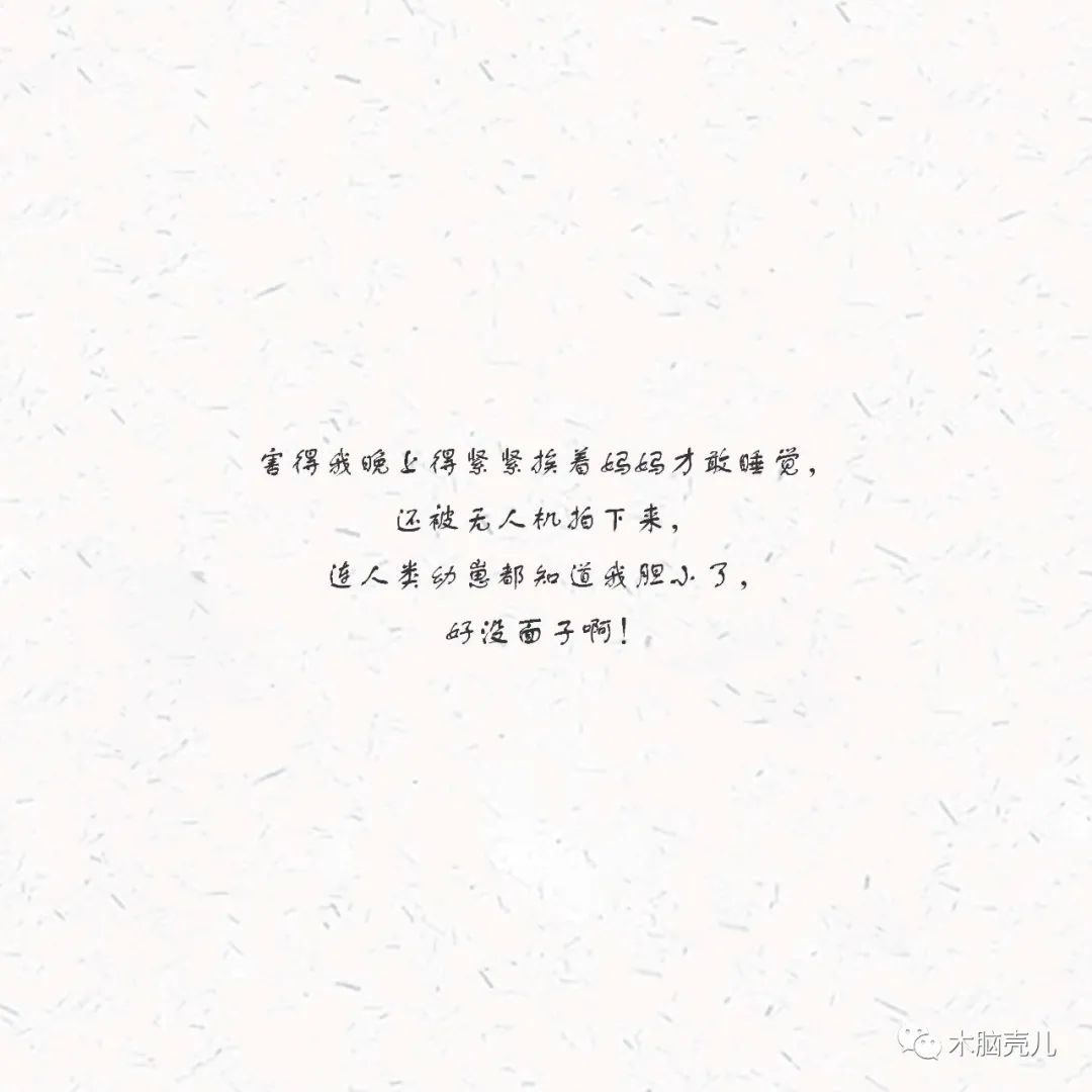 xmyeditor_20 xmyeditor_20