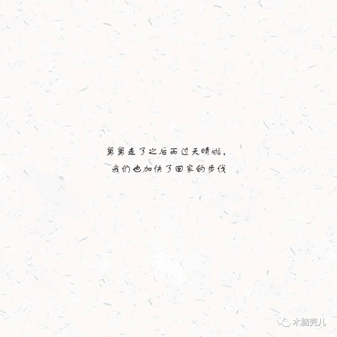 xmyeditor_31 xmyeditor_31