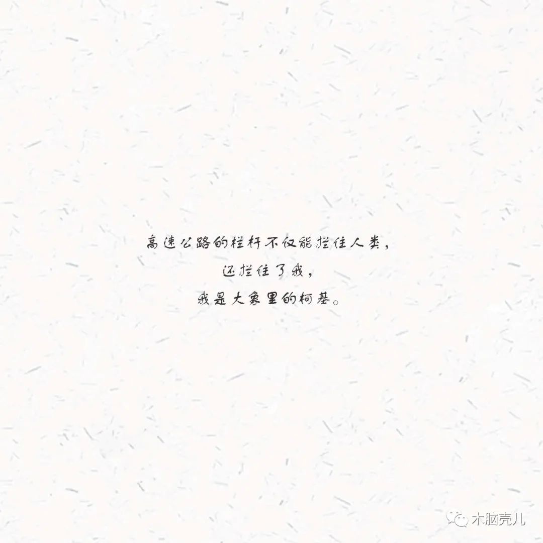 xmyeditor_37 xmyeditor_37