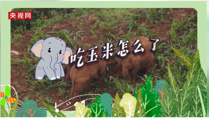 微信截圖_20210812170558