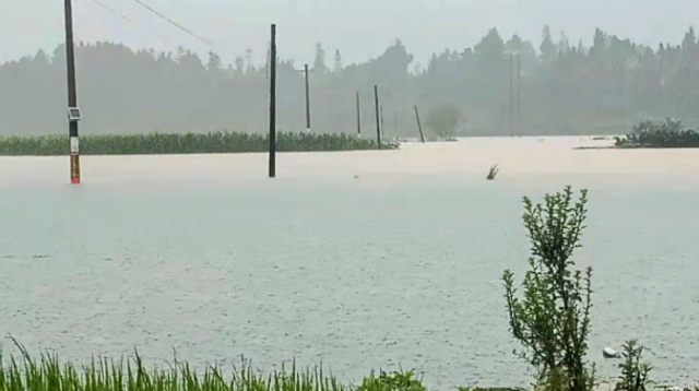 云南盈江縣遭暴雨侵襲，已致2500余人受災(zāi)（）