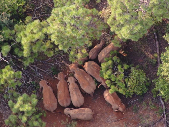 微信圖片_20210813080920.jpg 微信圖片_20210813080920.jpg