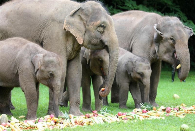 code_ynrbfc4d2d85-916e-472f-bac4-a9417c948b73