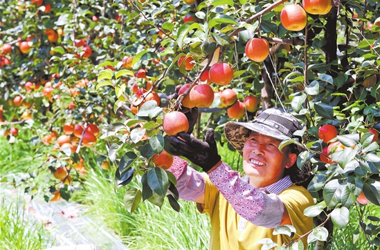 微信截圖_20210816075919 微信截圖_20210816075919